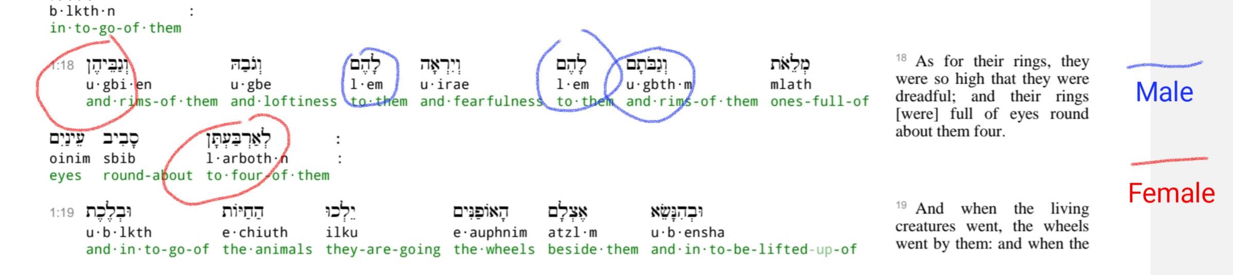 Interlinear 18