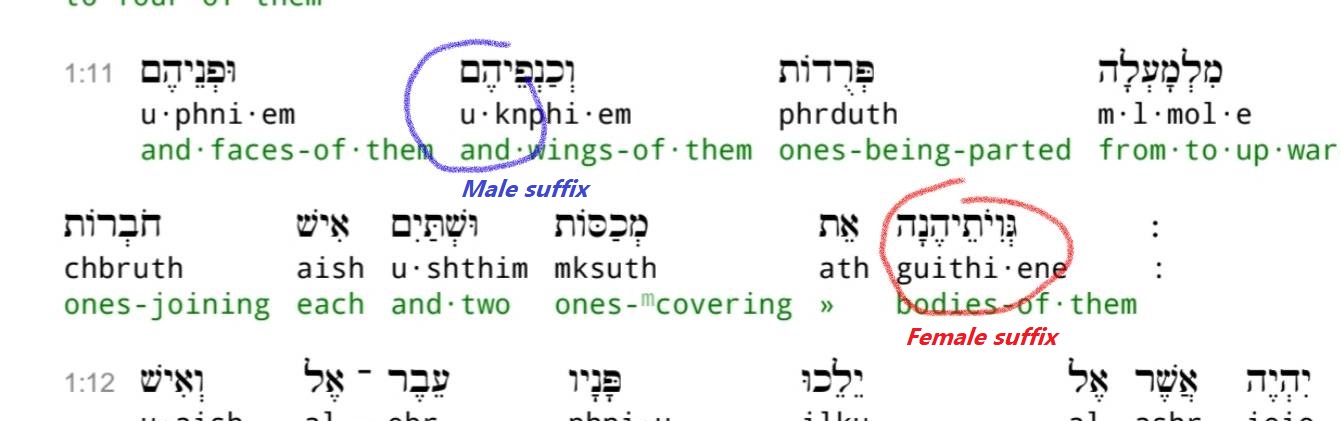 Interlinear 11